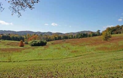 Blue Springs Farm Charlottesville homes for sale