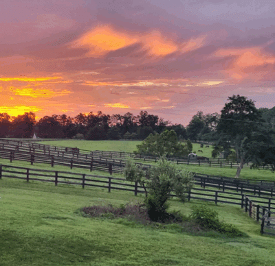 Glenmore Charlottesville Homes for Sale