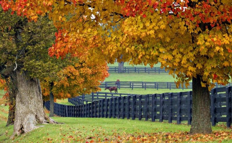 27 reasons to love living in crozet va