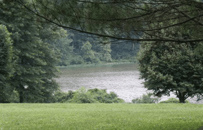 rivanwood charlottesville homes for sale