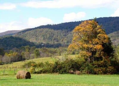 Septic Wells Easements in Albemarle County VA