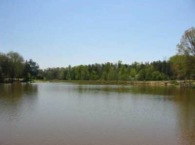 Tanager Woods Earlysville homes for sale