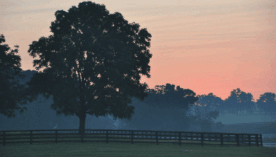 100 reasons to move to charlottesville va