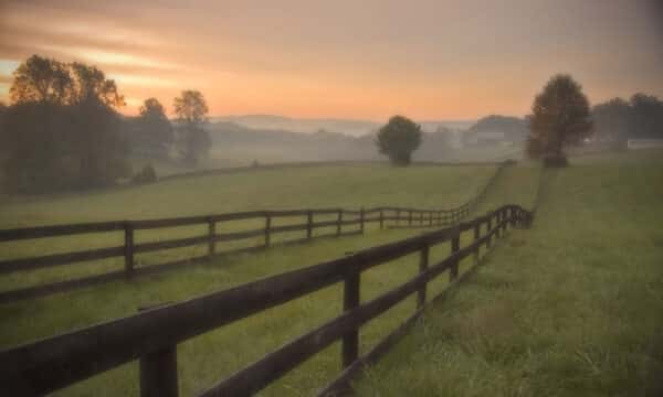 100 reasons to move to charlottesville va