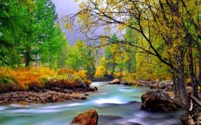 100 reasons to move to Charlottesville VA