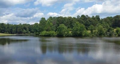 Living in Earlysville, Virginia 