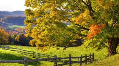 2026 What is Special About Charlottesville