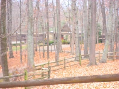 ivy va realtor | toby beavers