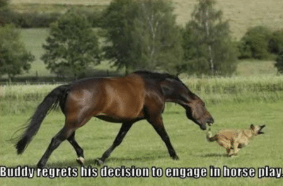 2026 What is Special About Charlottesville