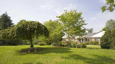 Relocating for Healthcare Martha Jefferson vs UVA Health